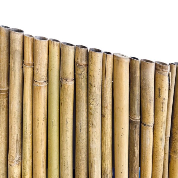 ARELLA RIVER MT. 1  X3