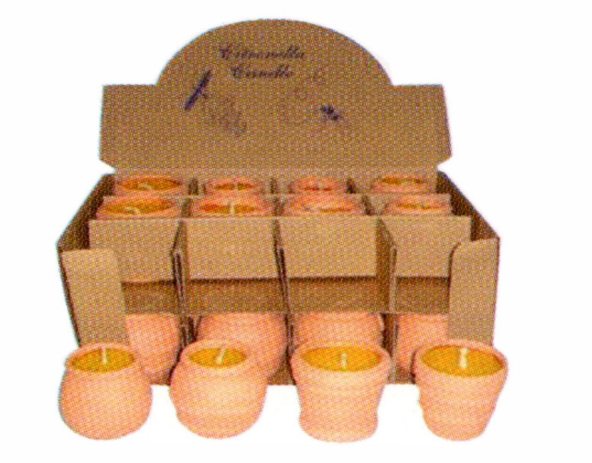 CITRONELLA TERRACOTTA CM.10X 4