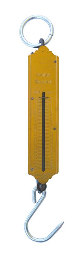BILANCIA A STRAPPO KG.50  6010